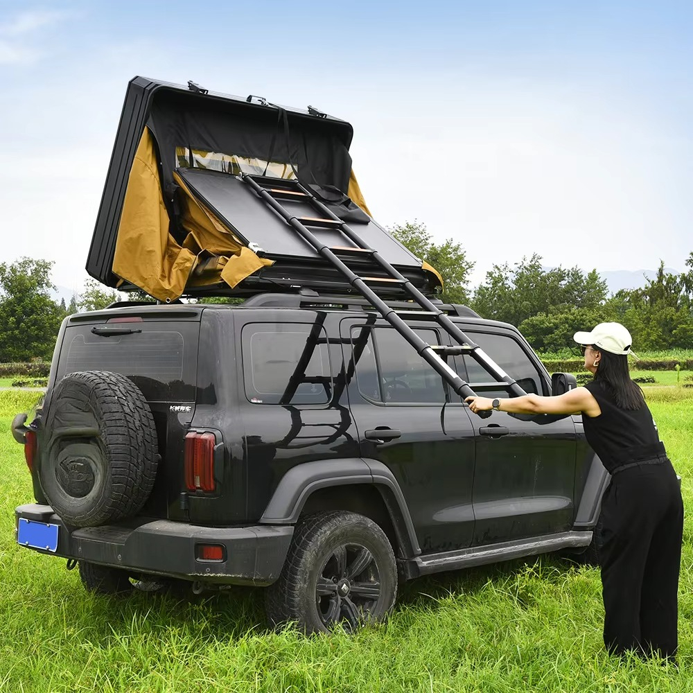 Outdoor 4 People Waterproof Po - Emergency Mylar Tent avis et prix